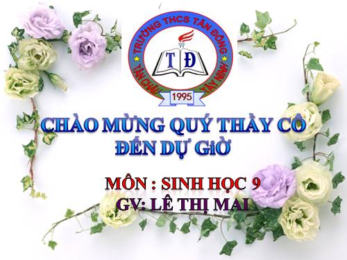 Bài 47. Quần thể sinh vật