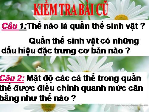 Bài 48. Quần thể người