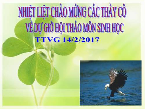 Bài 44. Ảnh hưởng lẫn nhau giữa các sinh vật