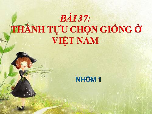 Bài 37. Thành tựu chọn giống ở Việt Nam