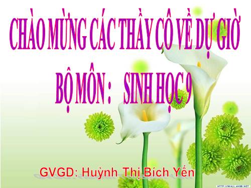 Bài 41. Môi trường và các nhân tố sinh thái