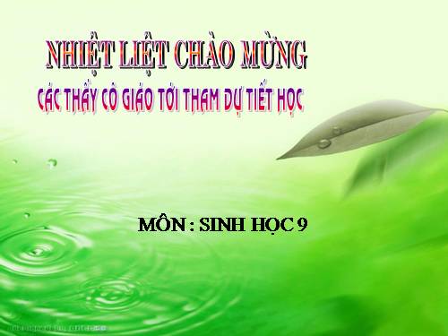 Bài 47. Quần thể sinh vật