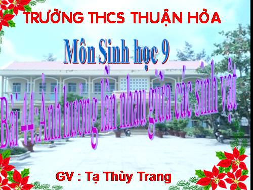 Bài 44. Ảnh hưởng lẫn nhau giữa các sinh vật