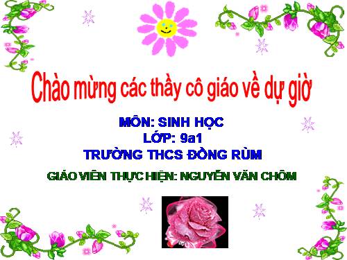 Bài 21. Đột biến gen