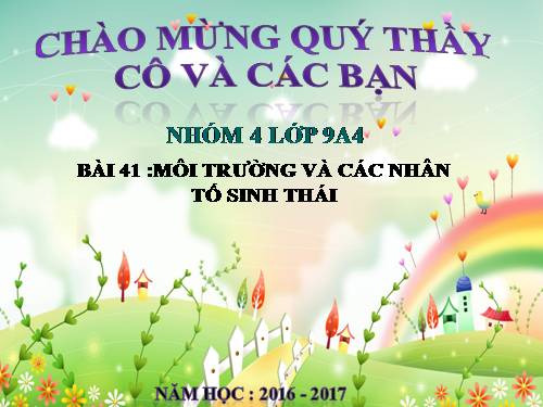 Bài 41. Môi trường và các nhân tố sinh thái