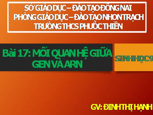 Bài 17. Mối quan hệ giữa gen và ARN