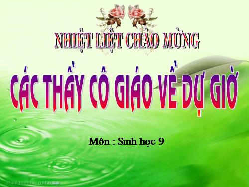 Bài 47. Quần thể sinh vật