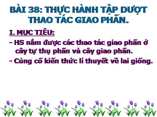 Bài 38. Thực hành: Tập dượt thao tác giao phấn