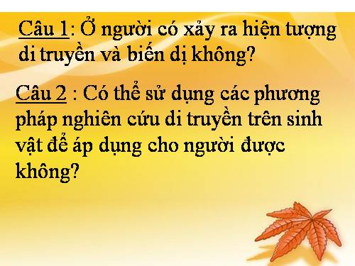 Bài 28. Phương pháp nghiên cứu di truyền người