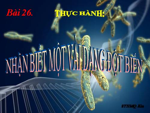 Bài 26. Thực hành: Nhận biết một vài dạng đột biến