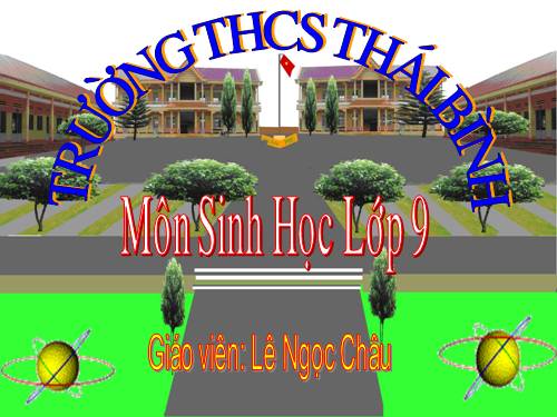 Bài 12. Cơ chế xác định giới tính