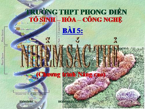 Bài 8. Nhiễm sắc thể