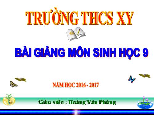 Bài 12. Cơ chế xác định giới tính