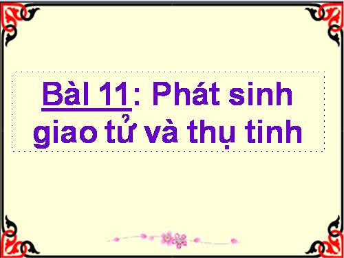 Bài 11. Phát sinh giao tử và thụ tinh