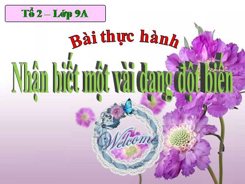 Bài 26. Thực hành: Nhận biết một vài dạng đột biến