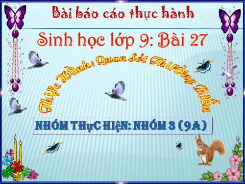 Bài 27. Thực hành: Quan sát thường biến