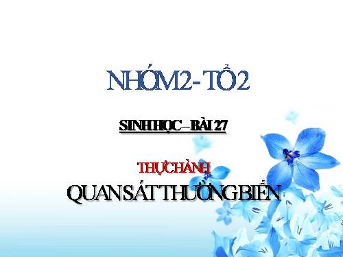 Bài 27. Thực hành: Quan sát thường biến