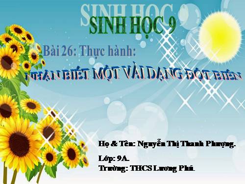 Bài 26. Thực hành: Nhận biết một vài dạng đột biến