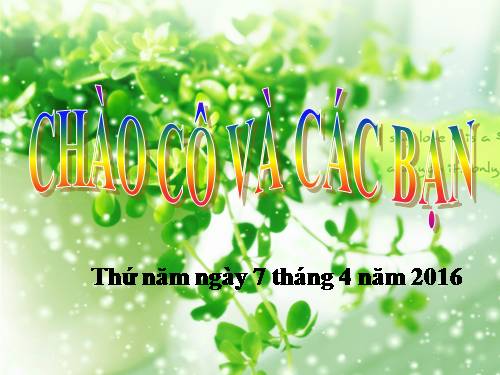 Bài 57. Thực hành: Tìm hiểu tình hình môi trường ở địa phương