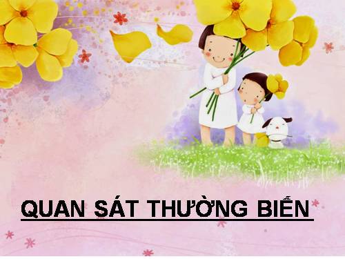 Bài 27. Thực hành: Quan sát thường biến