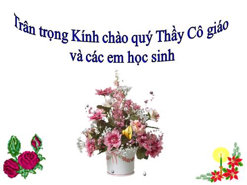 Bài 24. Đột biến số lượng nhiễm sắc thể (tiếp theo)