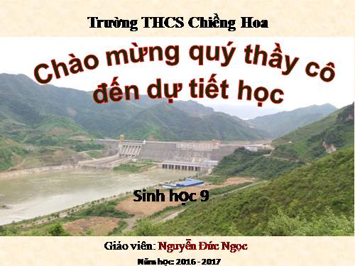 Bài 27. Thực hành: Quan sát thường biến