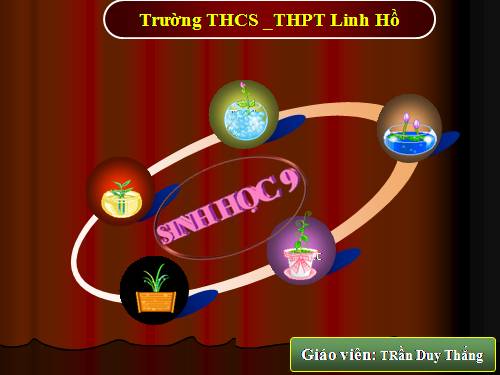 Bài 28. Phương pháp nghiên cứu di truyền người