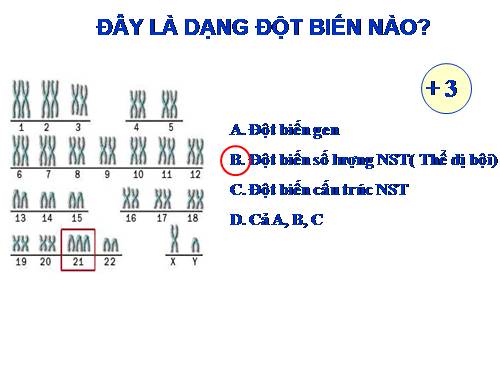 Bài 25. Thường biến