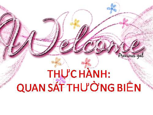 Bài 27. Thực hành: Quan sát thường biến