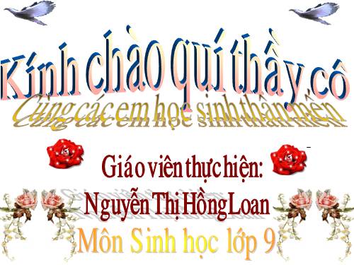 Bài 26. Thực hành: Nhận biết một vài dạng đột biến