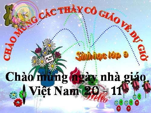 Bài 22. Đột biến cấu trúc nhiễm sắc thể