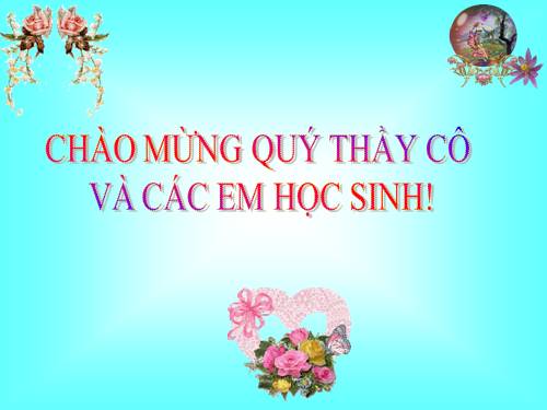 Bài 22. Đột biến cấu trúc nhiễm sắc thể