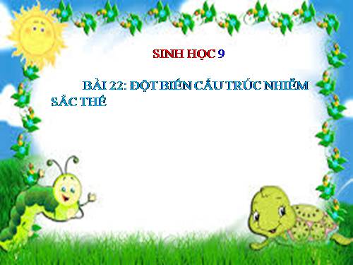 Bài 22. Đột biến cấu trúc nhiễm sắc thể