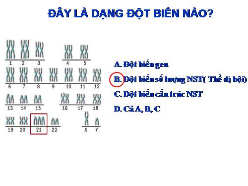 Bài 25. Thường biến