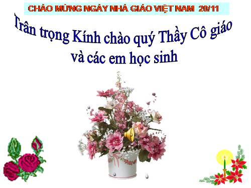 Bài 24. Đột biến số lượng nhiễm sắc thể (tiếp theo)