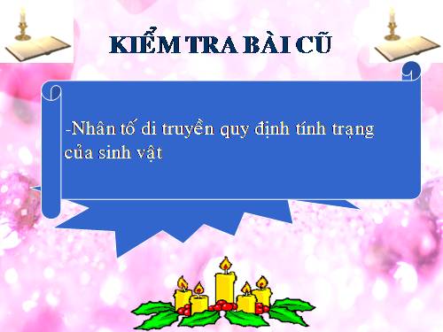 Bài 24. Đột biến số lượng nhiễm sắc thể (tiếp theo)