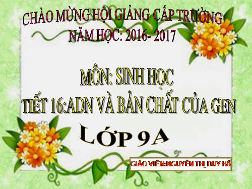 Bài 16. ADN và bản chất của gen