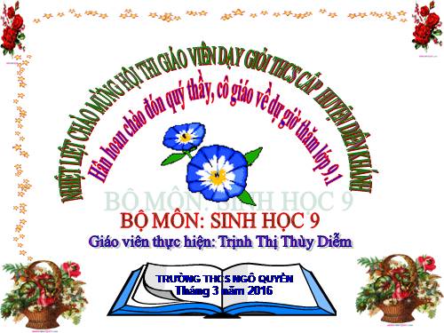 Bài 50. Hệ sinh thái