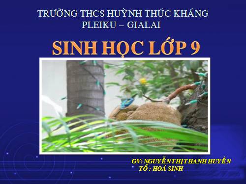 Bài 47. Quần thể sinh vật