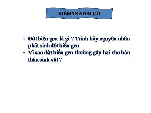 Bài 22. Đột biến cấu trúc nhiễm sắc thể