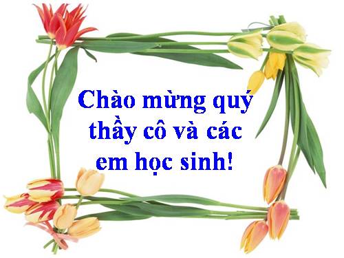 Bài 15. ADN