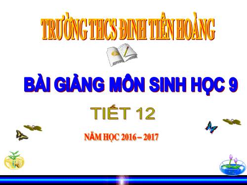 Bài 12. Cơ chế xác định giới tính