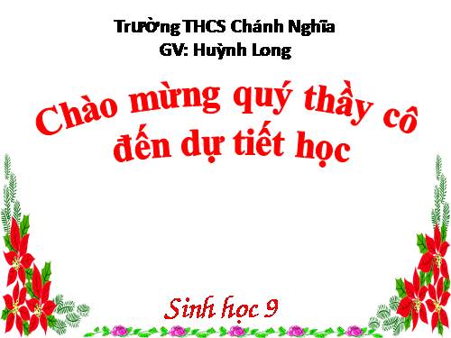 Bài 8. Nhiễm sắc thể