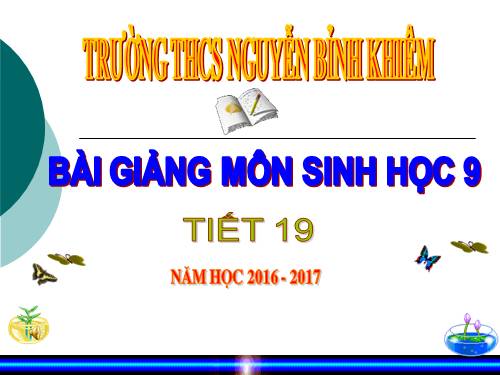 Bài 19. Mối quan hệ giữa gen và tính trạng