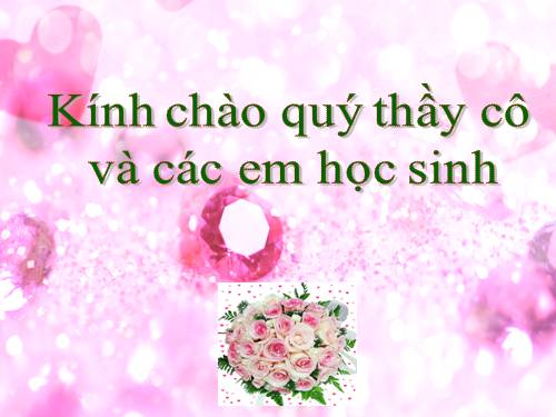 Bài 8. Nhiễm sắc thể