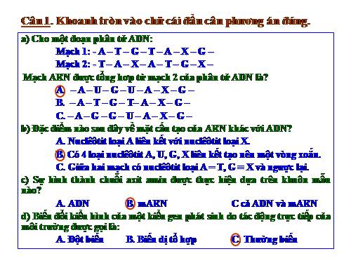 tiết34.bài tập chương II và III