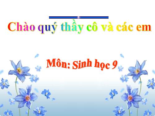 Bài 5. Lai hai cặp tính trạng (tiếp theo)