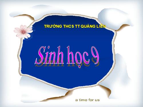 Bài 11. Phát sinh giao tử và thụ tinh