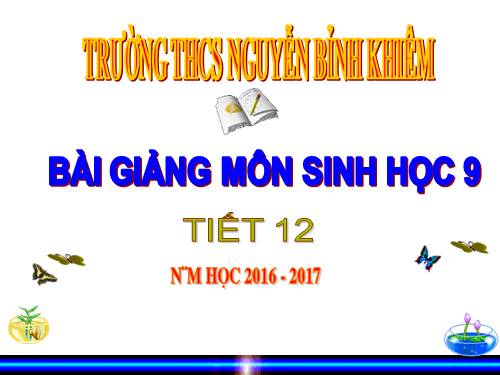 Bài 12. Cơ chế xác định giới tính