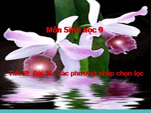 Bài 36. Các phương pháp chọn lọc